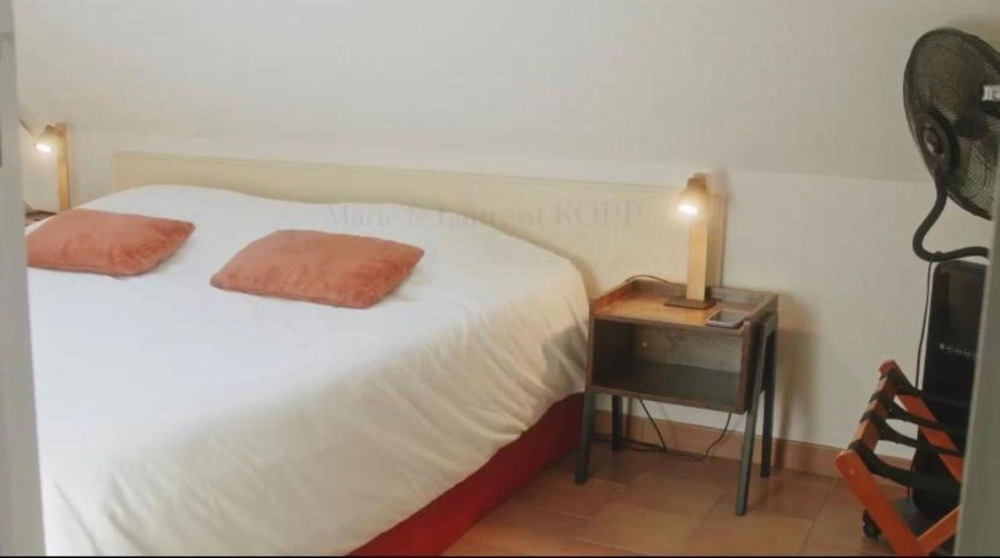Chambres et Table d'hôtes Cerviña Châteauneuf-sur-Loire Habitación foto